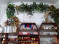 /album/fotogalerie-uvod/img-20140609-163312-jpg1/